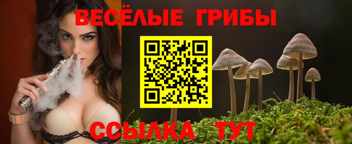 Пермь  Псилоцибиновые грибы Psilocybe  Вход с VPN 